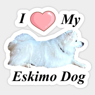 Love for an American Eskimo Dog Sticker